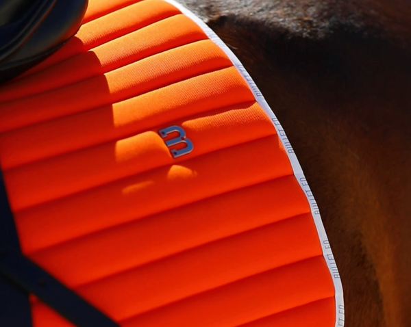 Orange saddle pad dressage