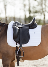 white saddle pad dressage