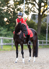 Sorbet red ear bonnet pony