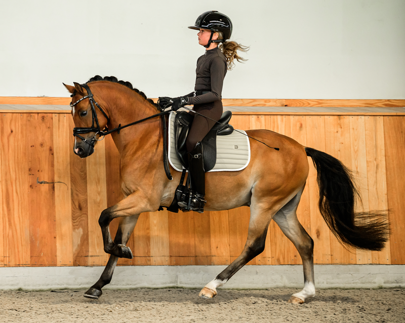 beige saddle pad pony dressage