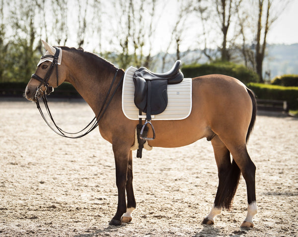 beige saddle pad jumping