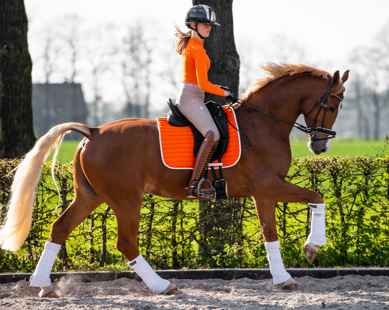 Oranje Zadeldek Springen