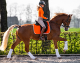 Orange saddle pad dressage