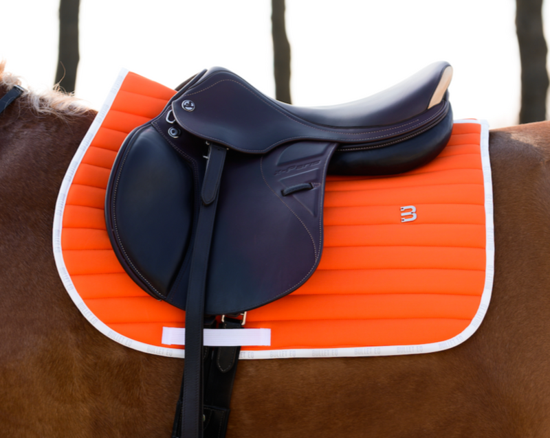 orange saddle pad jumping