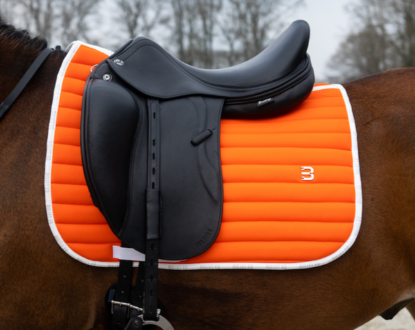 orange saddle pad pony dressage