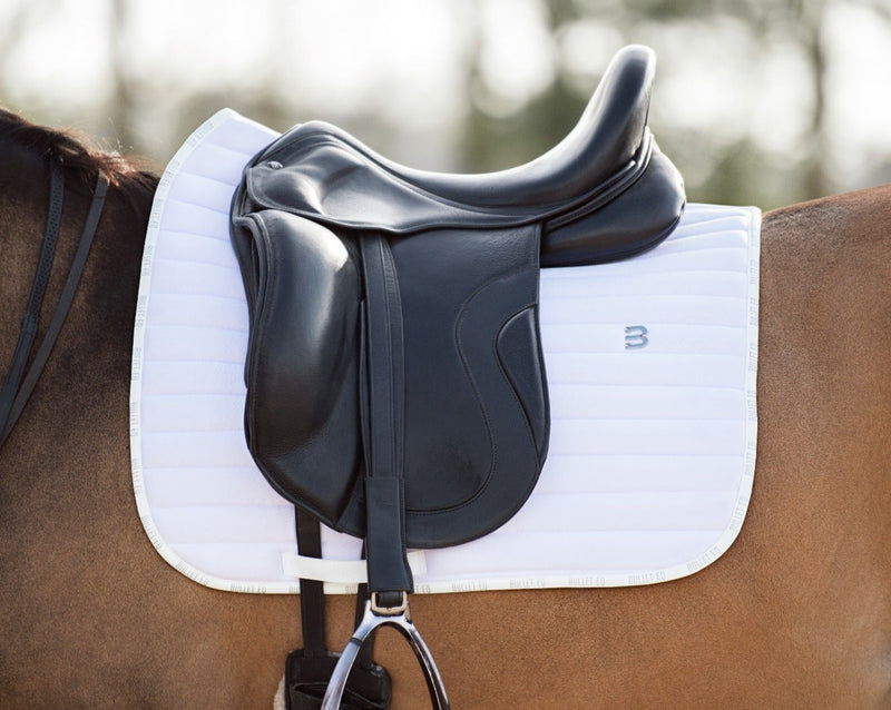 white saddle pad dressage